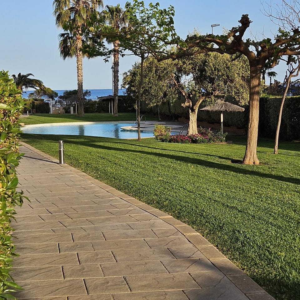 Garden view