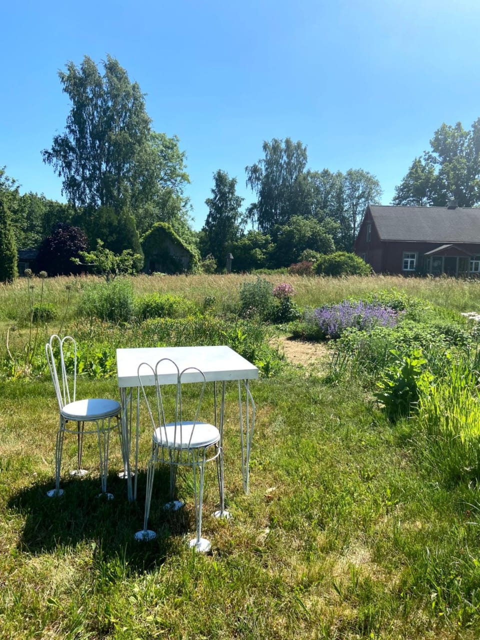 Garden, Inner courtyard view