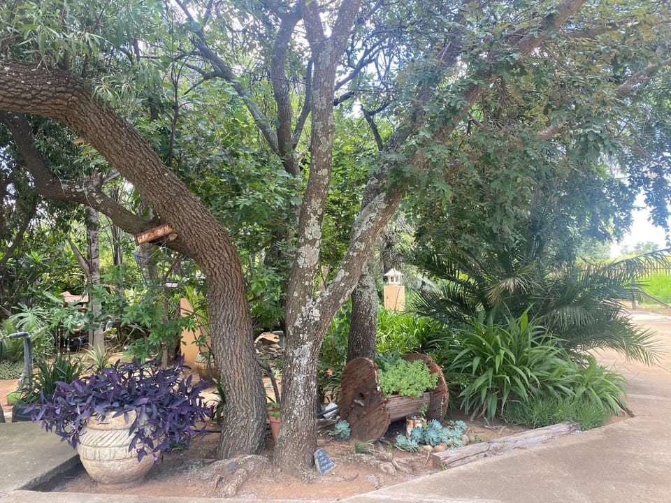Garden, Quiet street view