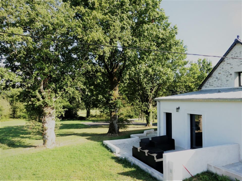 Natural landscape, Garden, Garden view