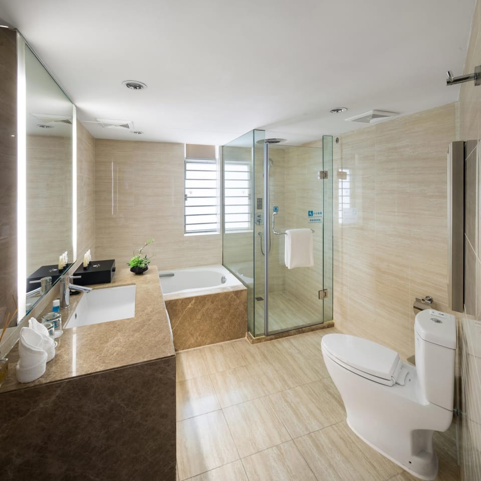 Shower, Toilet, Bathroom, Bath, towels