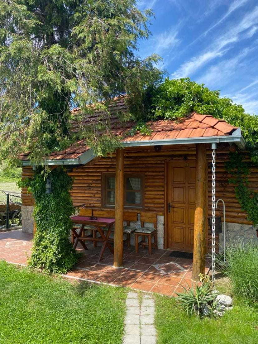 Property building, Garden view