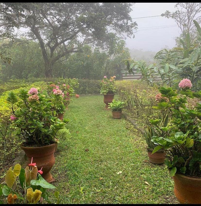Facade/entrance, Garden