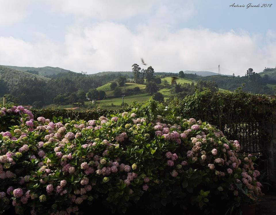 Casa Velarde Bed and Breakfast in Western coast of Cantabria