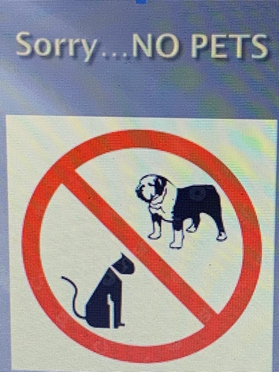 "COZY apt " center Bellaria Igea Marina Apartment in Bellaria - Igea Marina