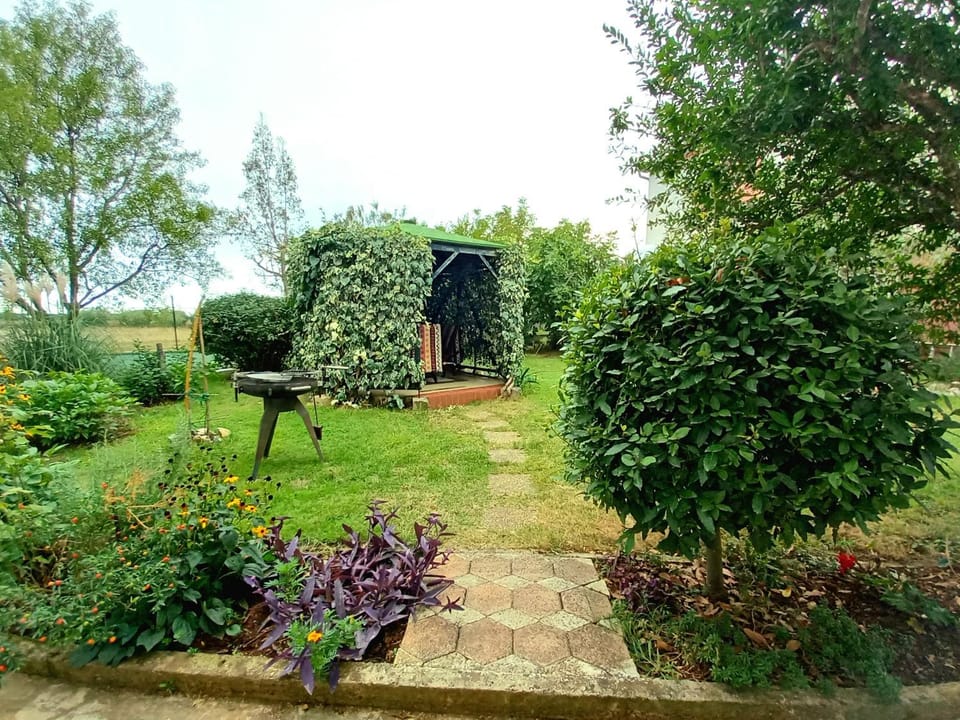 Viva Apartment in Banjole