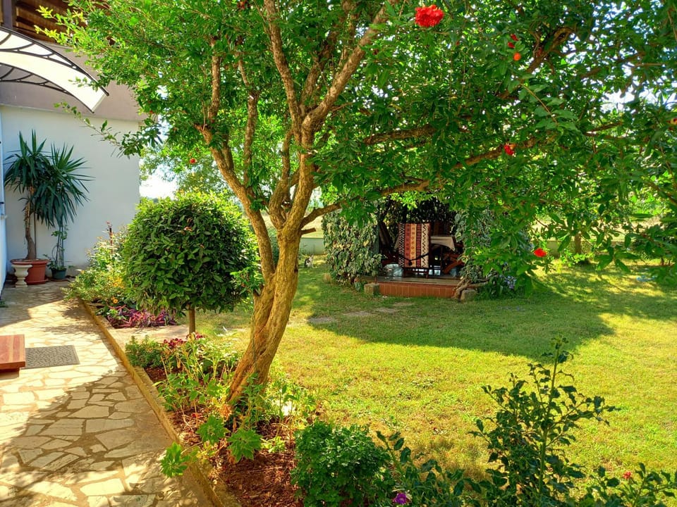 Viva Apartment in Banjole