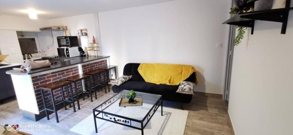 Appartement Cosy au cœur de la Champagne Apartment in Grand Est