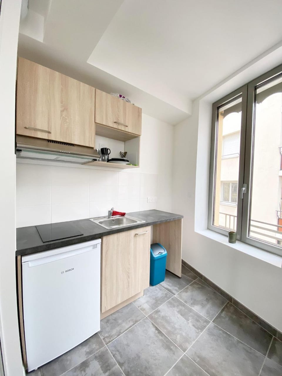 Parc de la Tête d'Or - Parc de la Feyssine - Croix Luizet - La Doua - CNRS - INSA - Université Claude Bernard Apartment in Villeurbanne