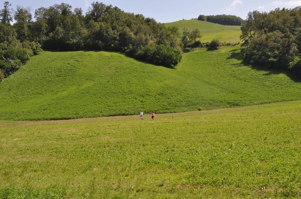 La Collina Zocca Villa in Emilia-Romagna