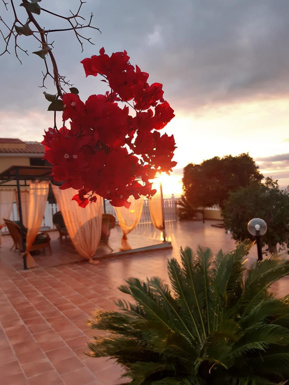 Balcony/Terrace, Balcony/Terrace