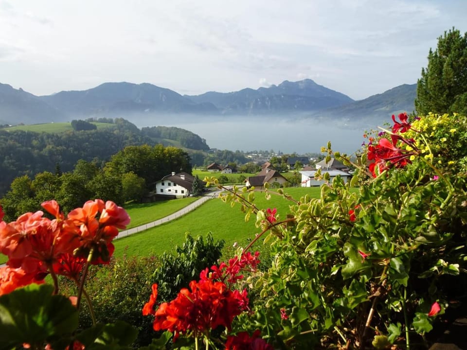 Lake view, Mountain view