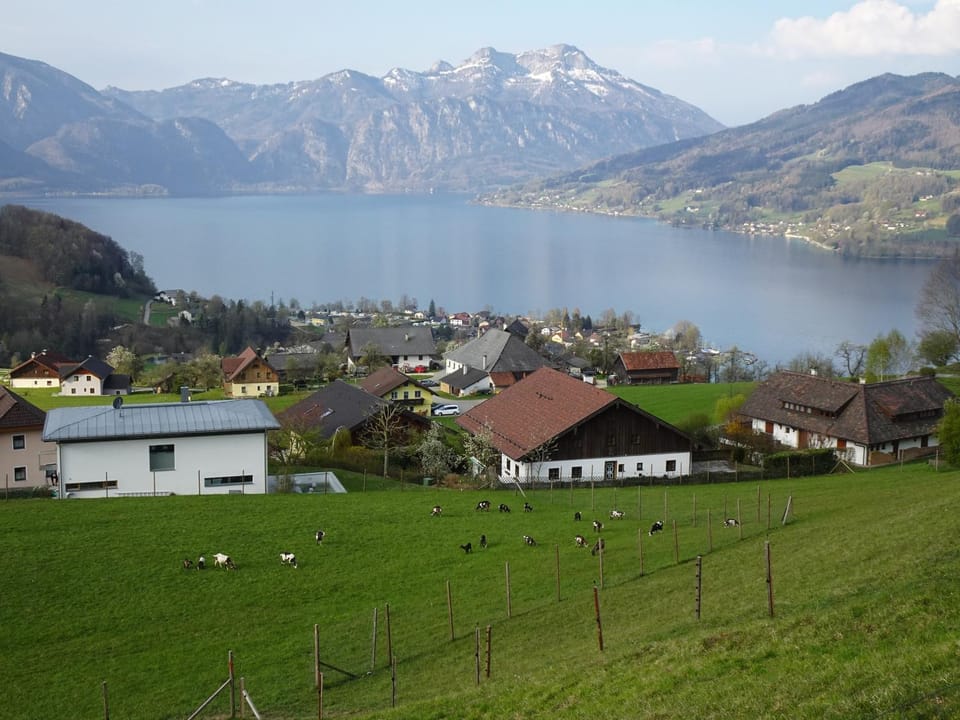 Lake view