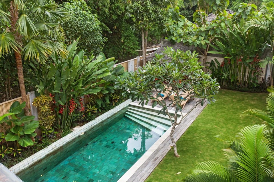 Garden, Balcony/Terrace