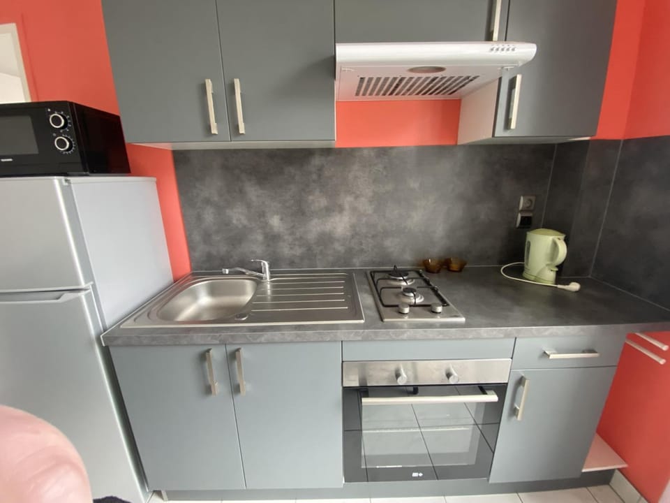 T2 Centre-ville La Roche-Posay, proche Thermes, Wi-Fi, laverie - FR-1-541-79 Apartment in Nouvelle-Aquitaine