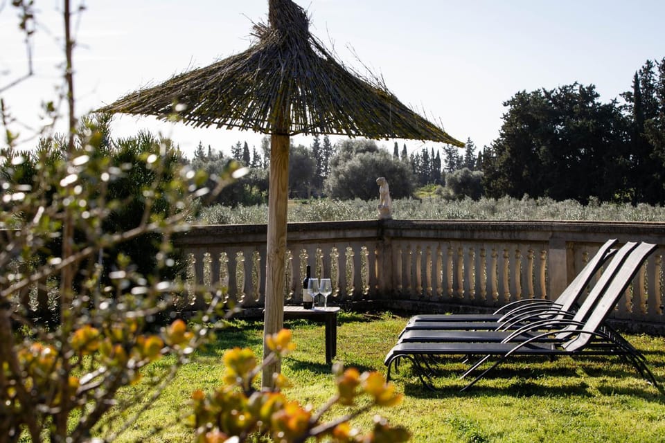 Patio, Garden, Garden view