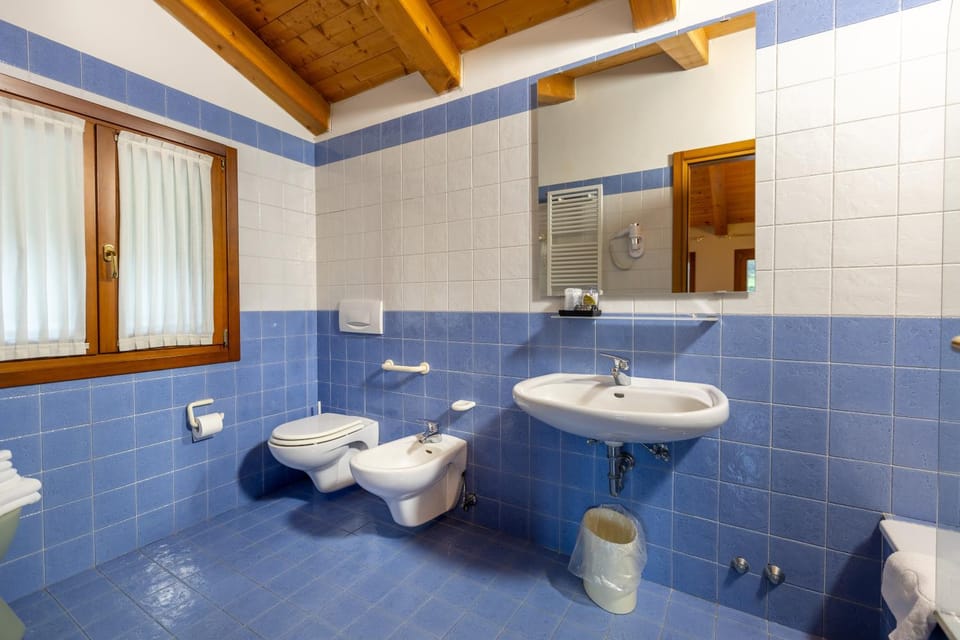 Shower, Toilet, Bathroom, bidet, towels