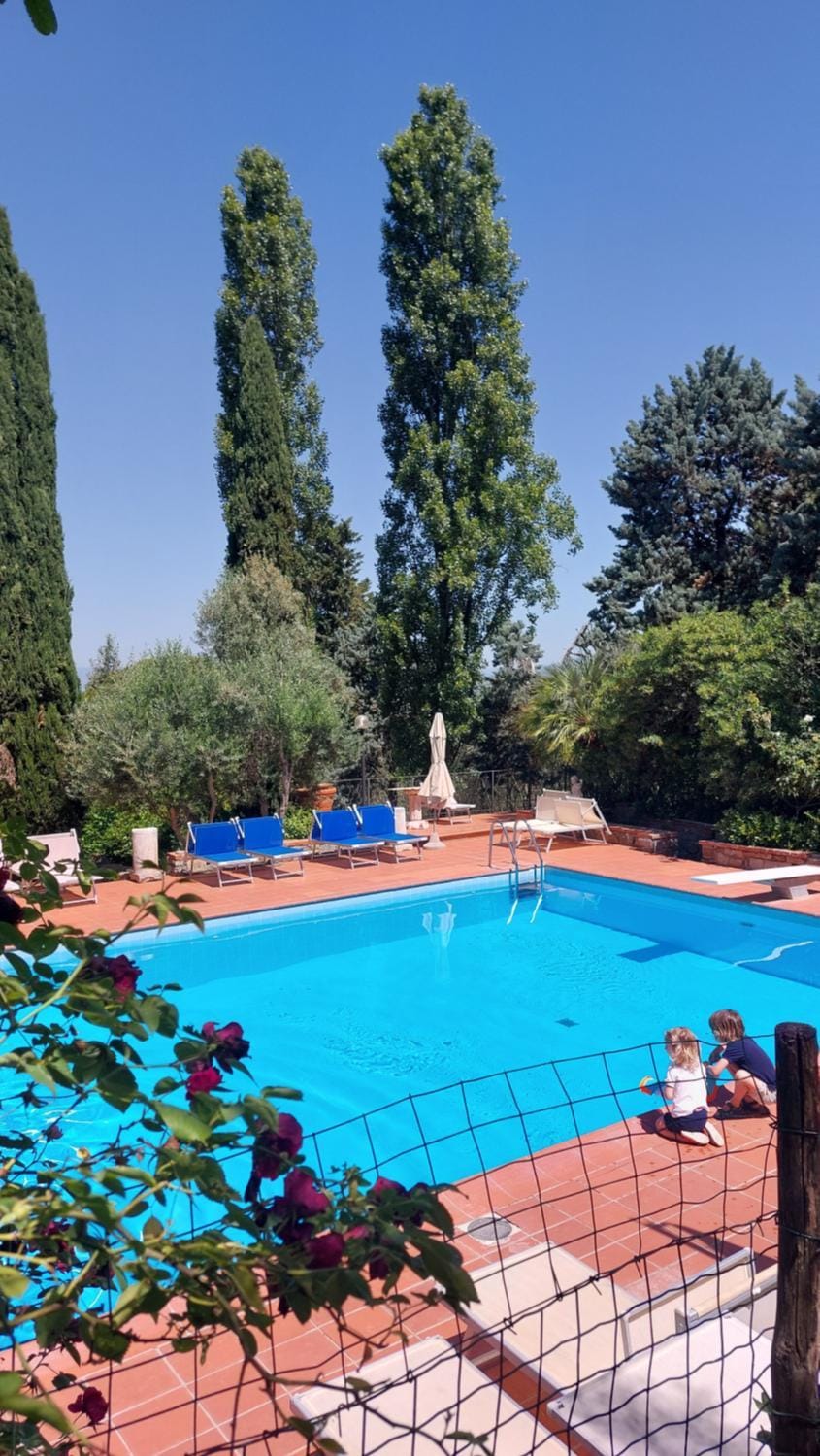 Day, Natural landscape, Garden, Garden view, Pool view, Swimming pool, sunbed