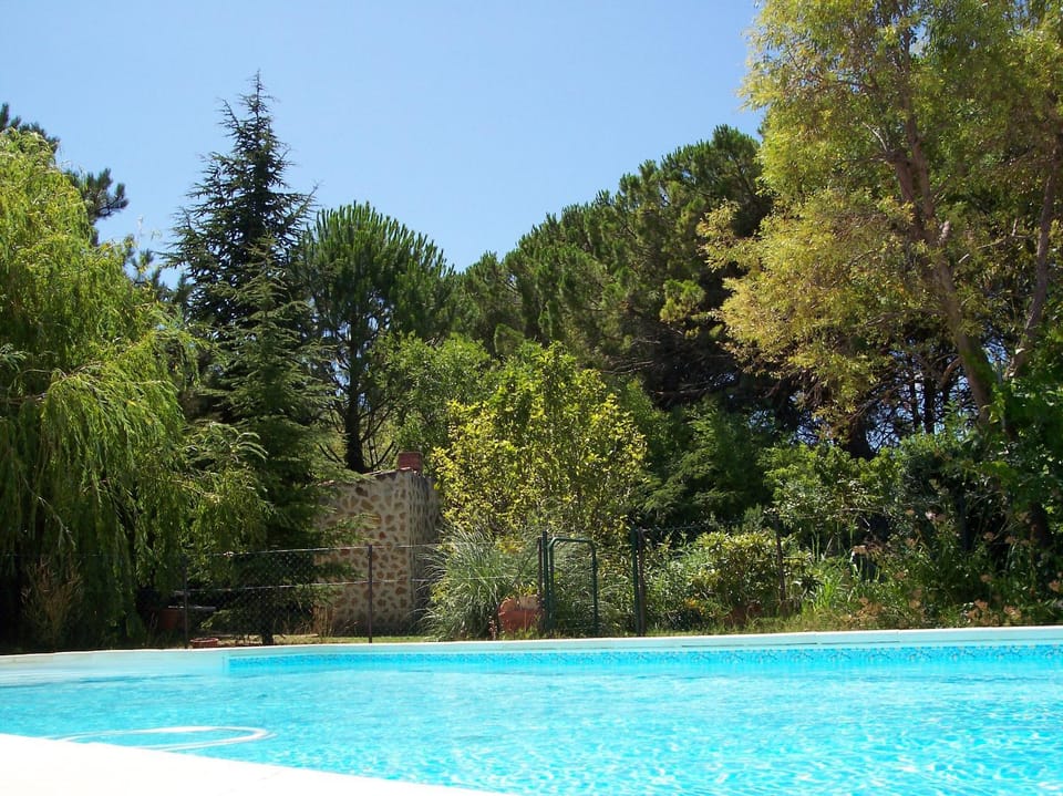 Swimming pool, Swimming pool