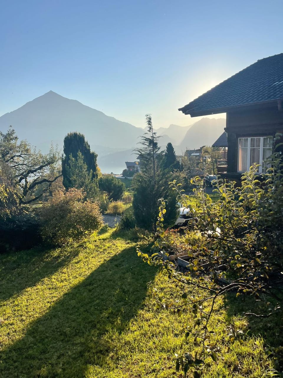 Garden, Garden, Garden view