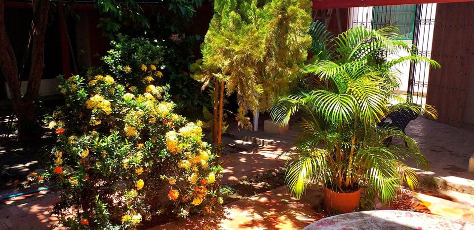 Inner courtyard view