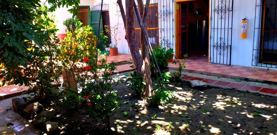 Garden view