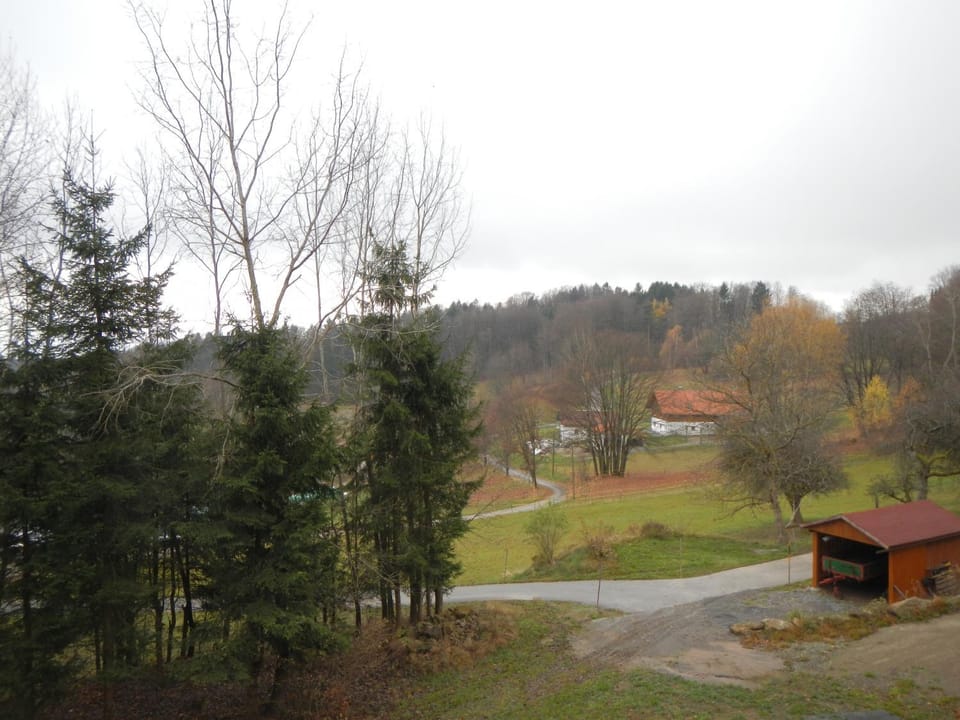 Neighbourhood, Natural landscape