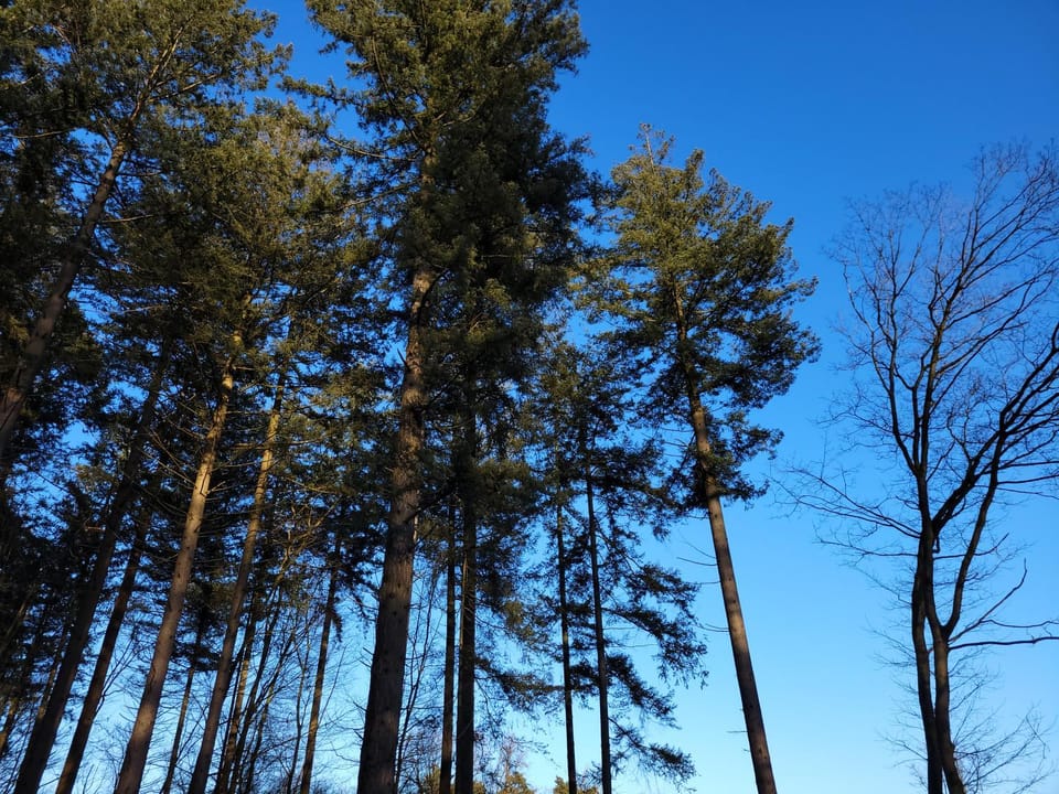 Day, Natural landscape
