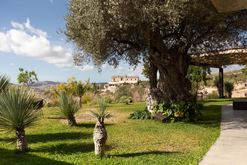 Natural landscape, Garden, Garden view