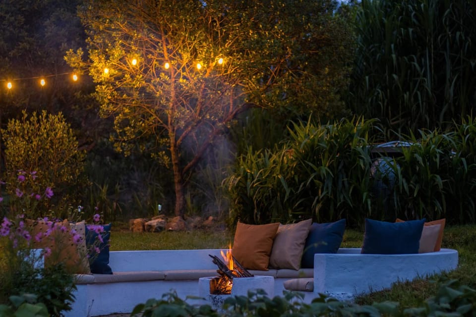Patio, Garden, flat iron
