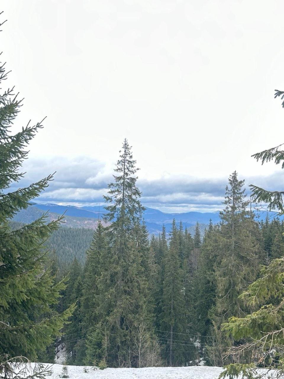 Natural landscape
