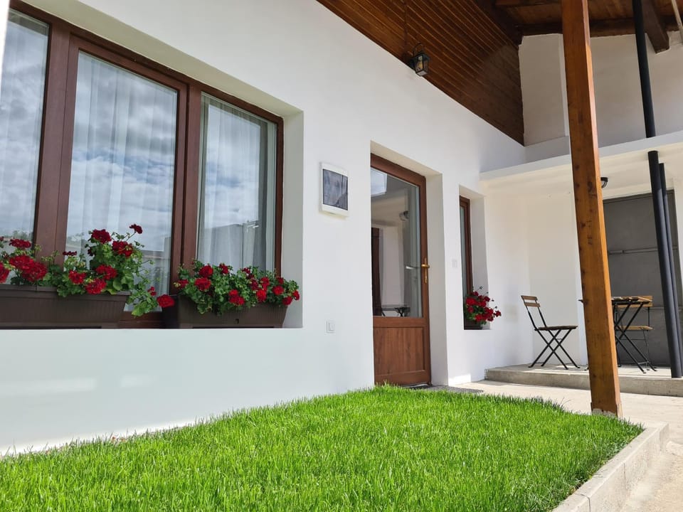 Patio, Facade/entrance, Garden