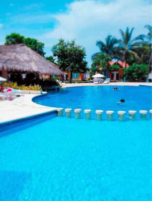 Pool view, Swimming pool