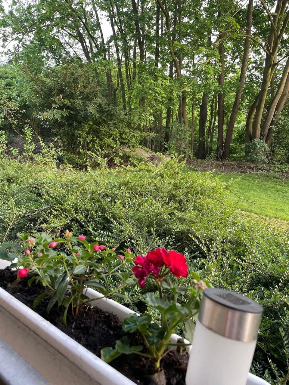 Garden view