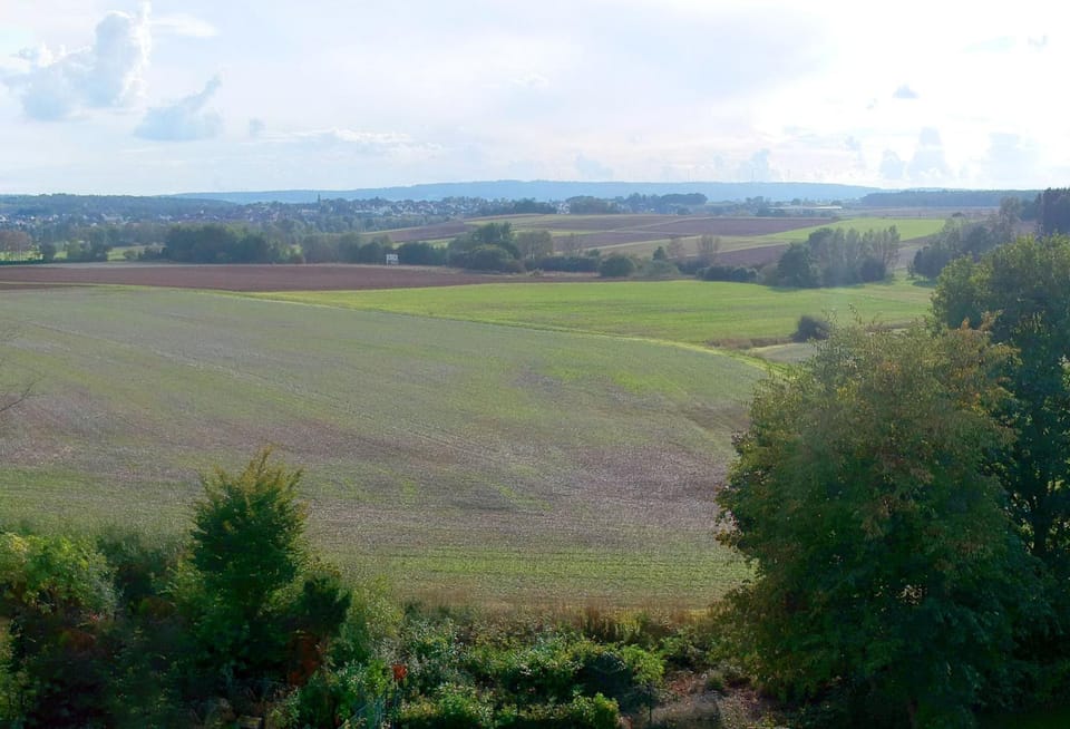 Natural landscape