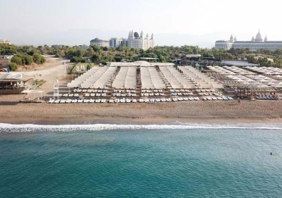Beach, Beach