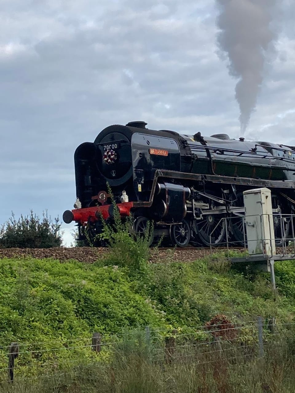 Florita - Dawlish House in Teignbridge
