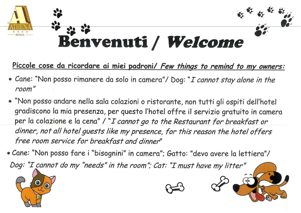 Animals, Animals, Pets, Pets