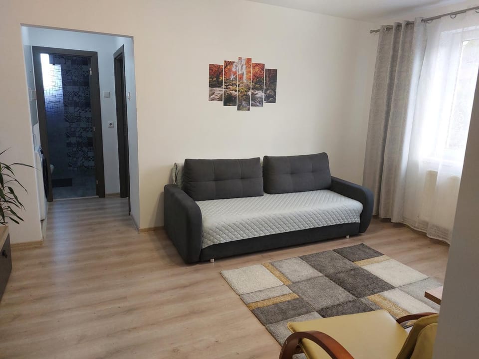 La Radu Apartment in Romania