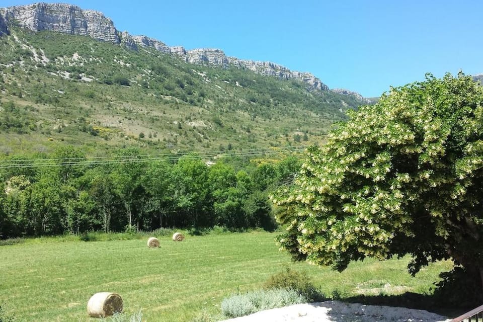 le mas de leoux House in Provence