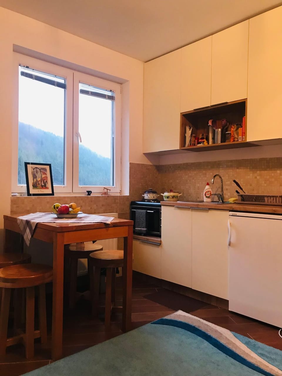 Natural landscape, Kitchen or kitchenette, Mountain view, oven, stove