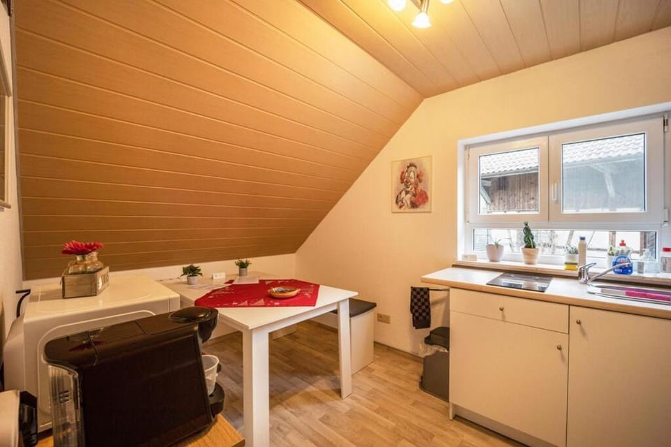 Kitchen or kitchenette, kitchen