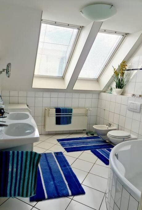 luxury 4 bedroom roof apt with 3 balconies & view Apartment in Vienna