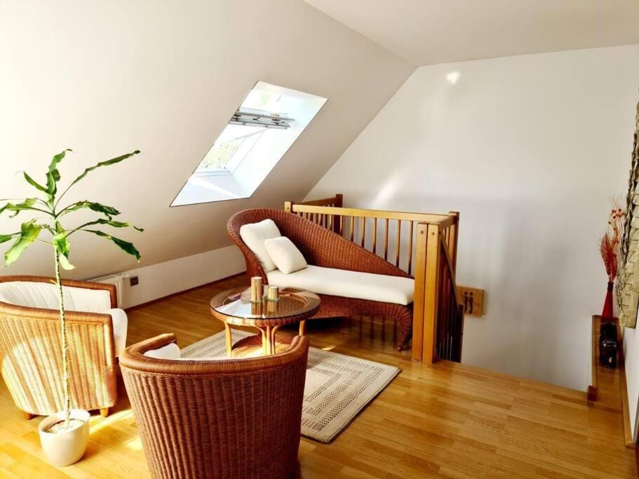 luxury 4 bedroom roof apt with 3 balconies & view Apartment in Vienna