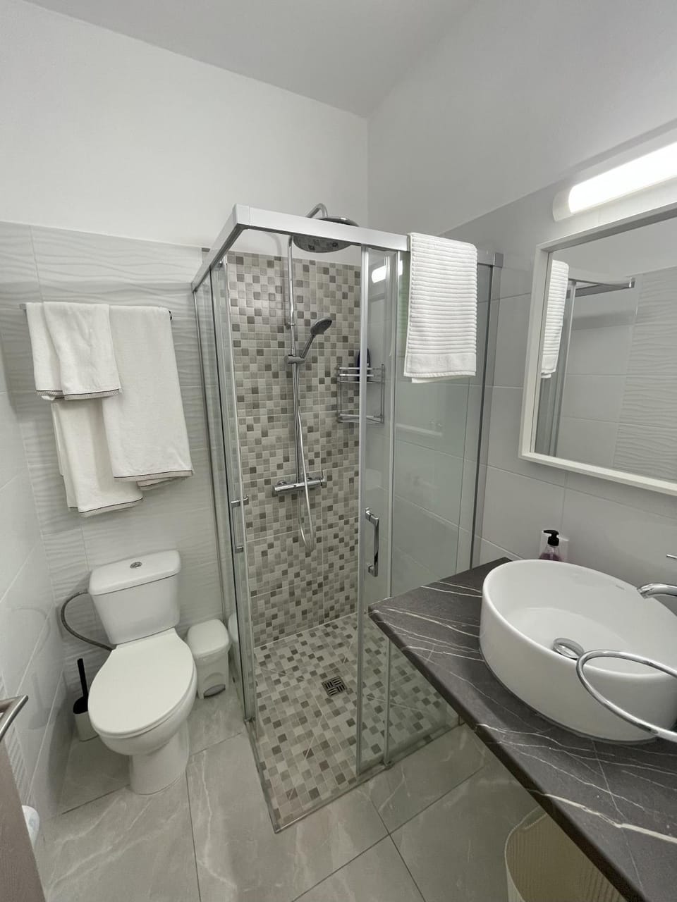 Shower, Toilet, towels