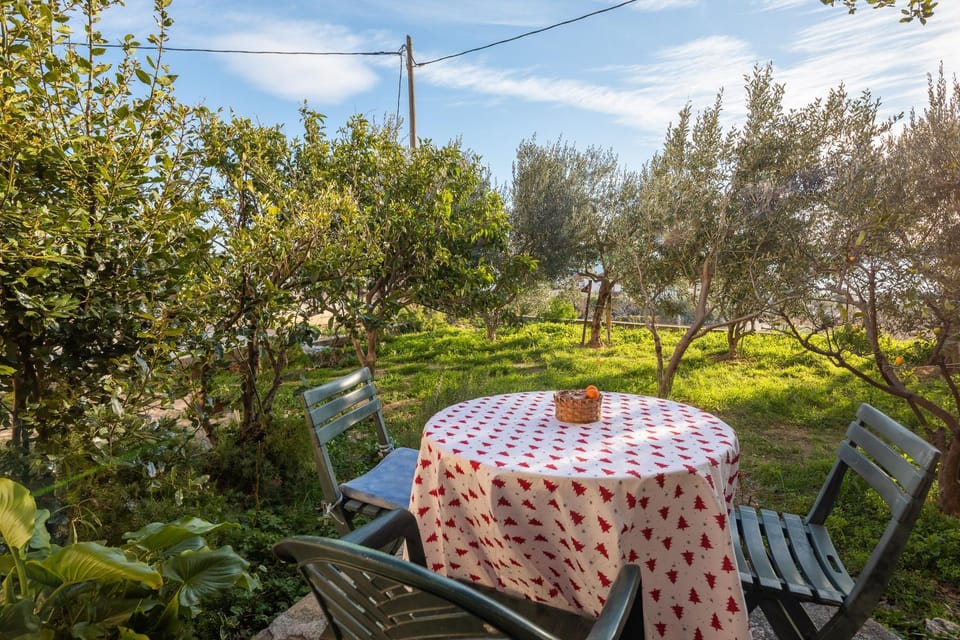 Patio, Garden, Garden view