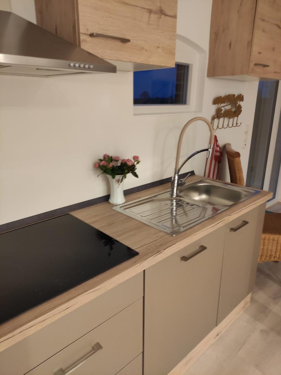 Ferienwohnung auf dem Pferdehof Apartment in Mecklenburg-Vorpommern, Germany
