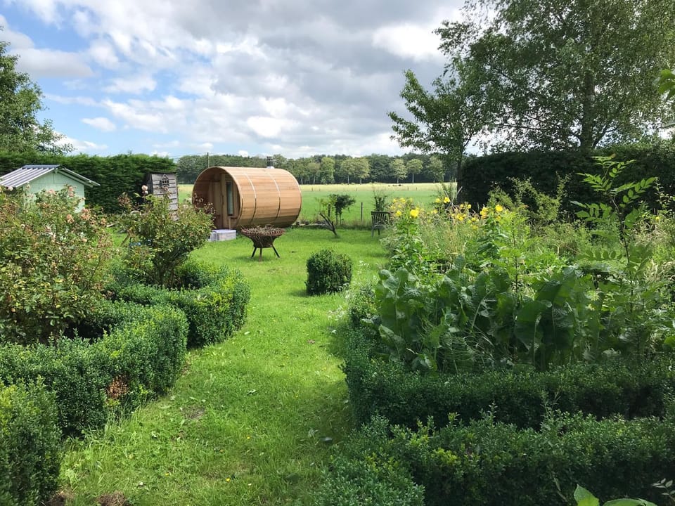 Natural landscape, Sauna