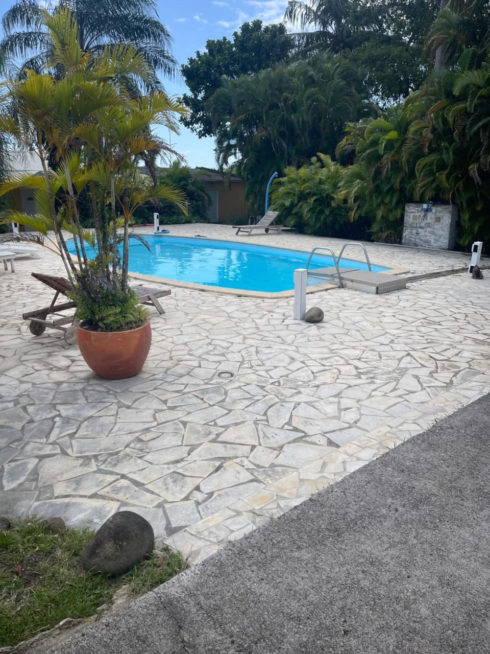 Garden view, Pool view, Swimming pool, sunbed