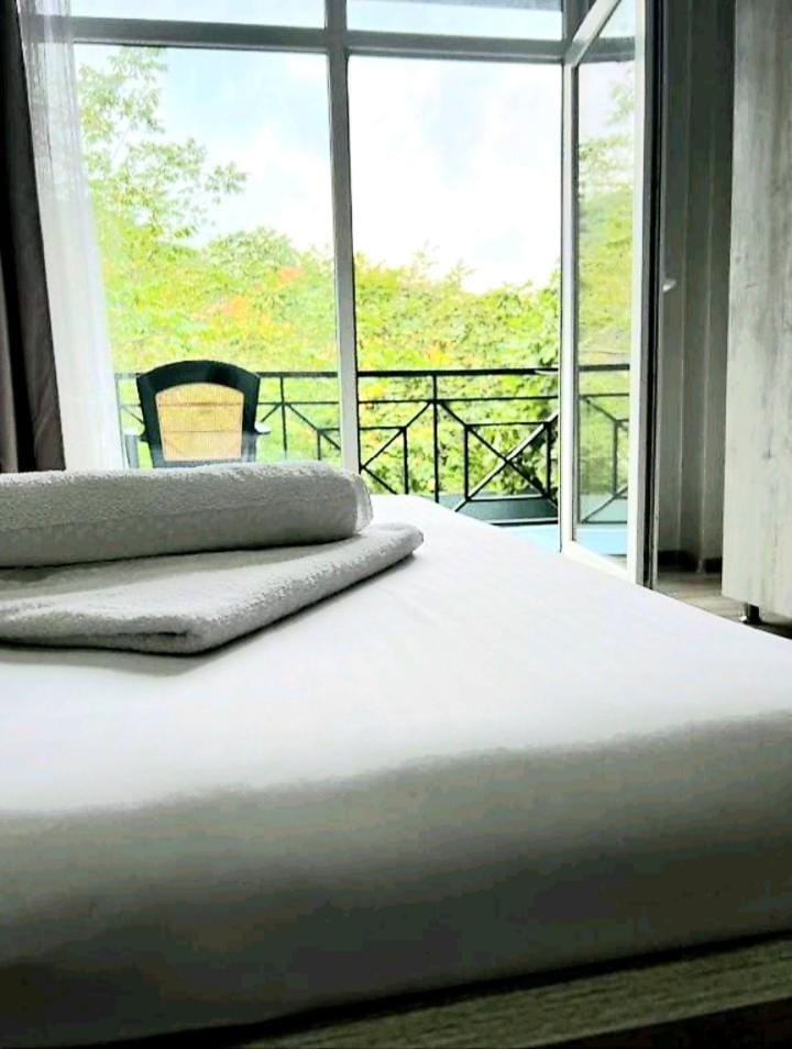 Rio Gonio Bed and Breakfast in Batumi